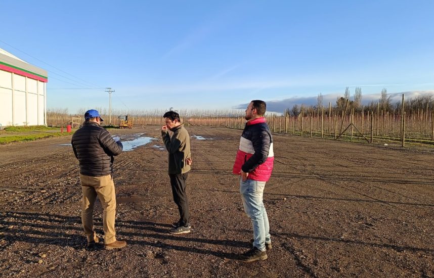 Equipo de Zappettini Ingenieros Consultores evaluando un terreno en faena